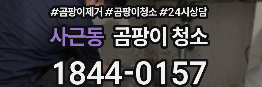 사근동 곰팡이 청소