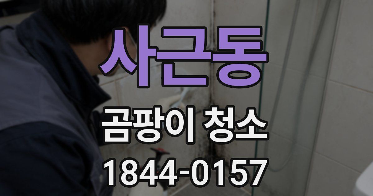 사근동 곰팡이 청소