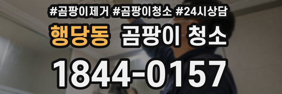 행당동 곰팡이 청소