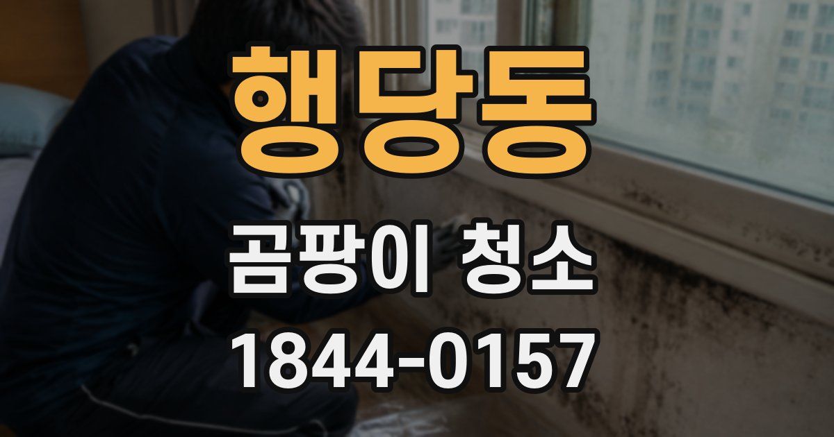 행당동 곰팡이 청소