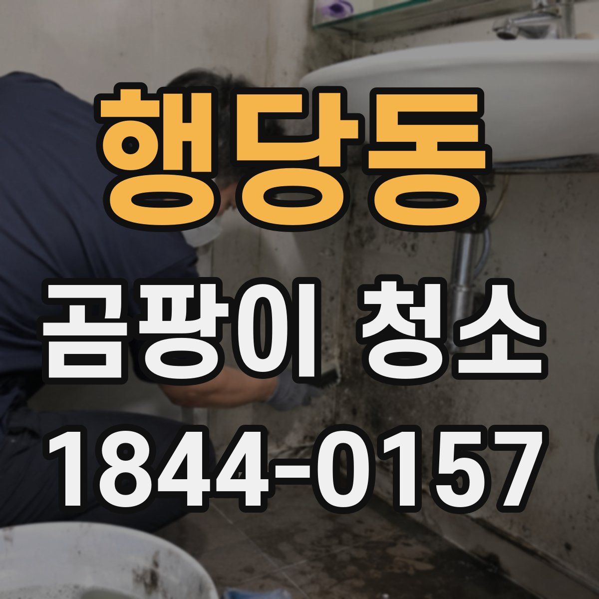 행당동 곰팡이 청소