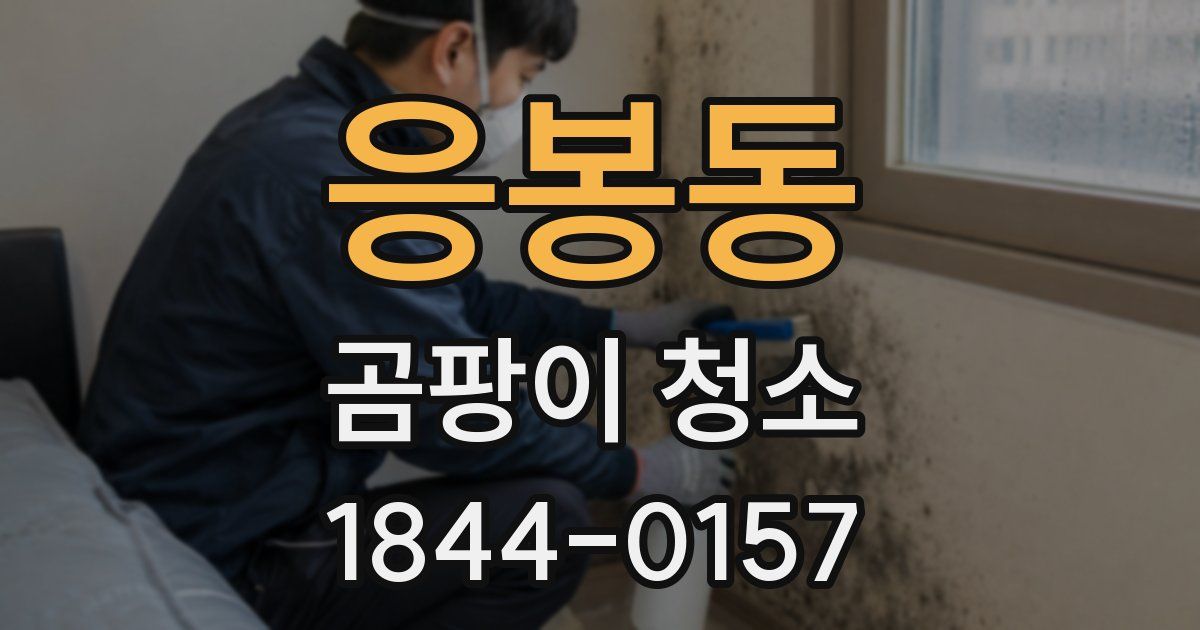 응봉동 곰팡이 청소