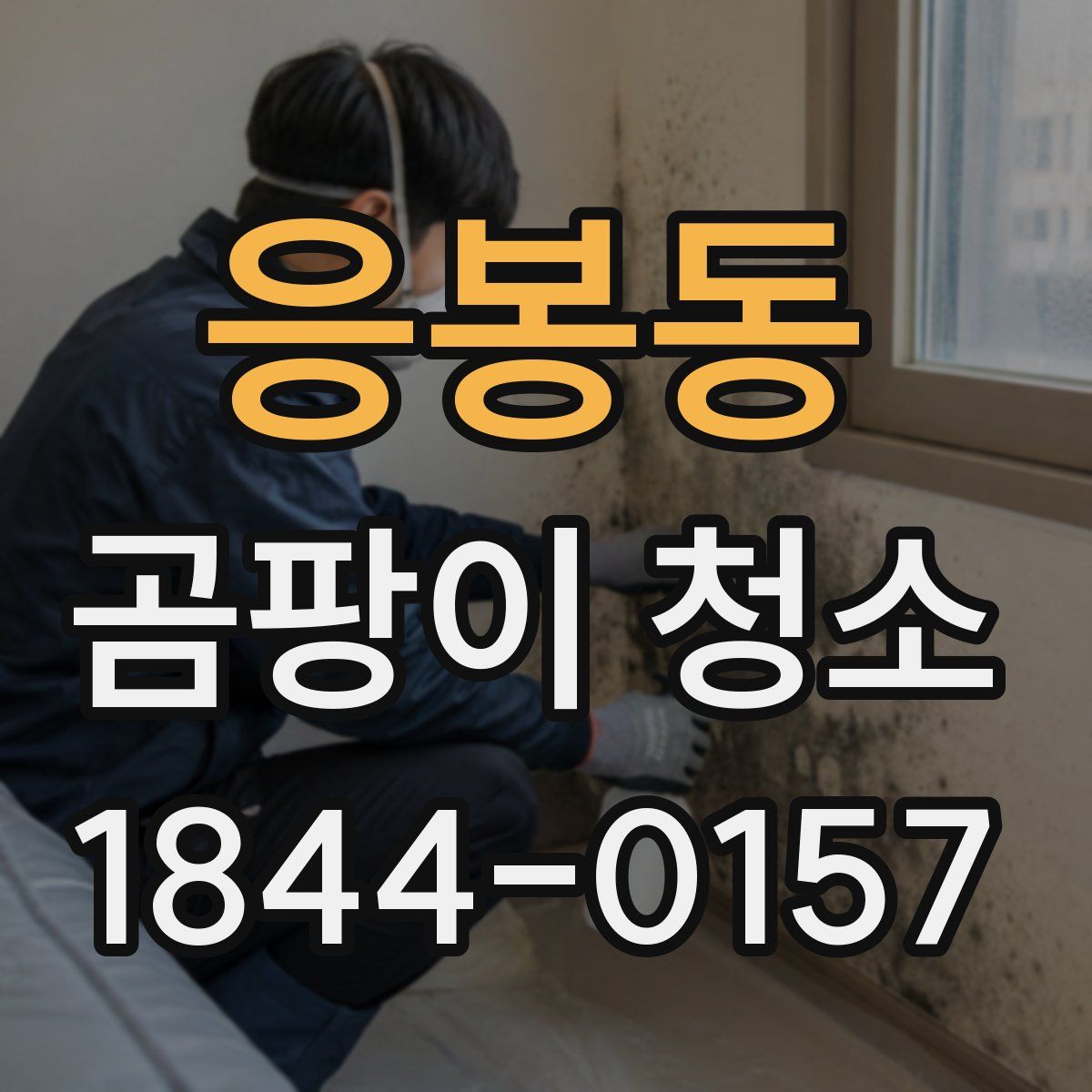 응봉동 곰팡이 청소