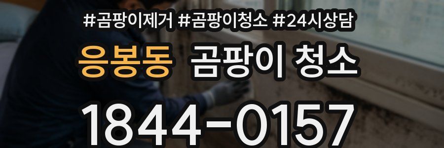 응봉동 곰팡이 청소