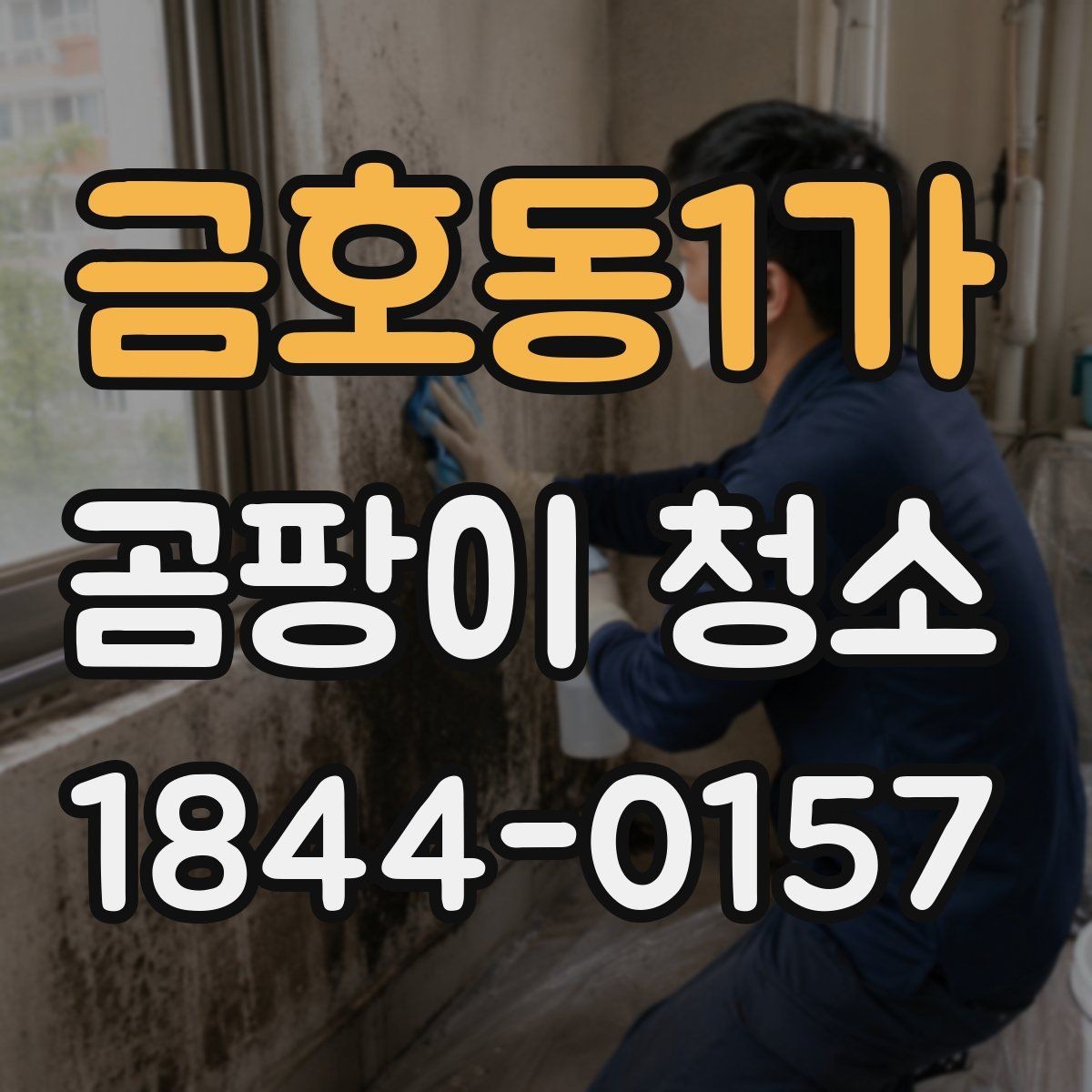 금호동1가 곰팡이 청소 주방은 음식물 오염과 곰팡이를 구분해서 봐야 함