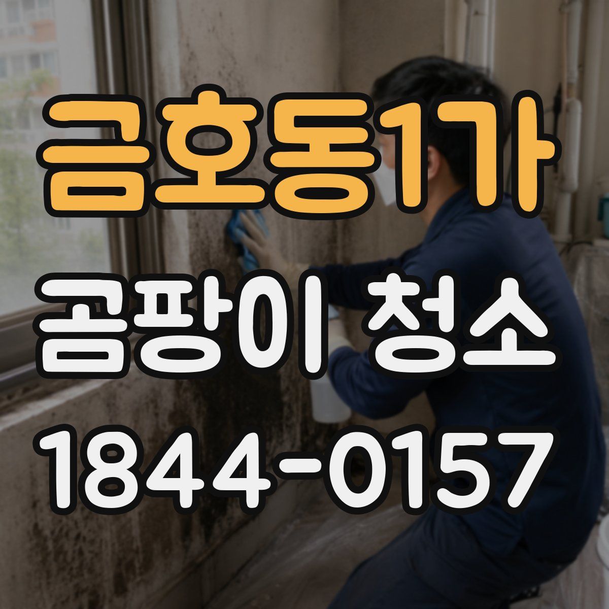 금호동1가 곰팡이 청소