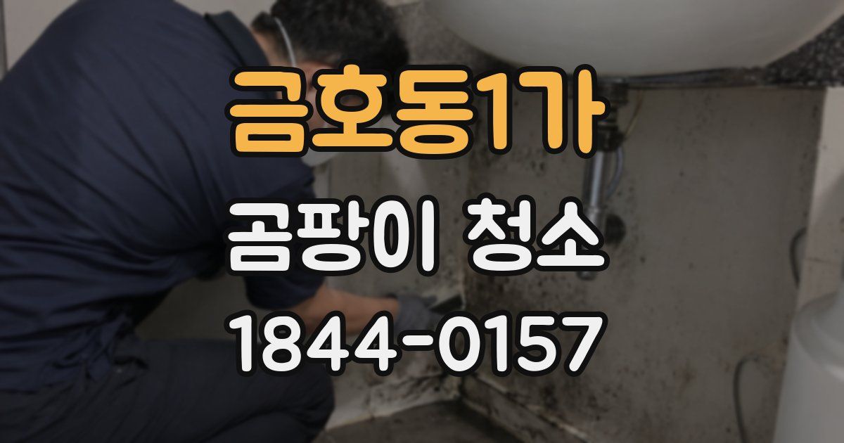 금호동1가 곰팡이 청소