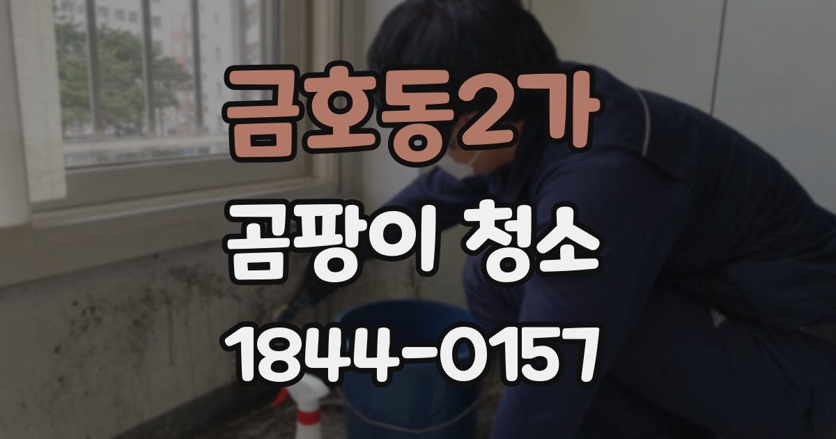 금호동2가 곰팡이 청소