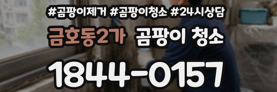 금호동2가 곰팡이 청소