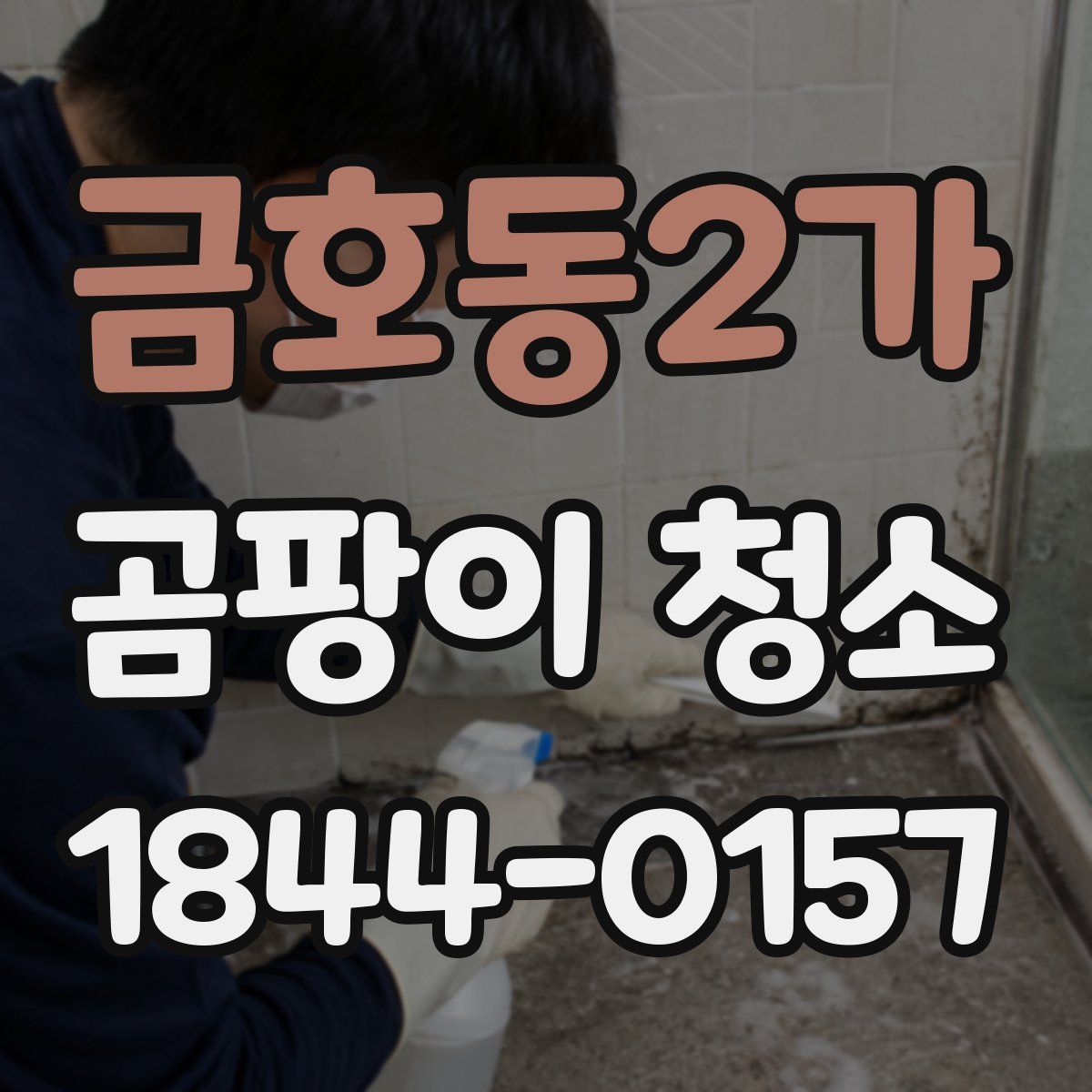 금호동2가 곰팡이 청소