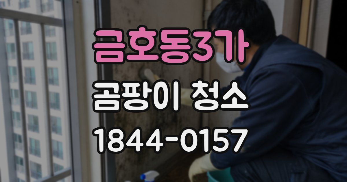 금호동3가 곰팡이 청소