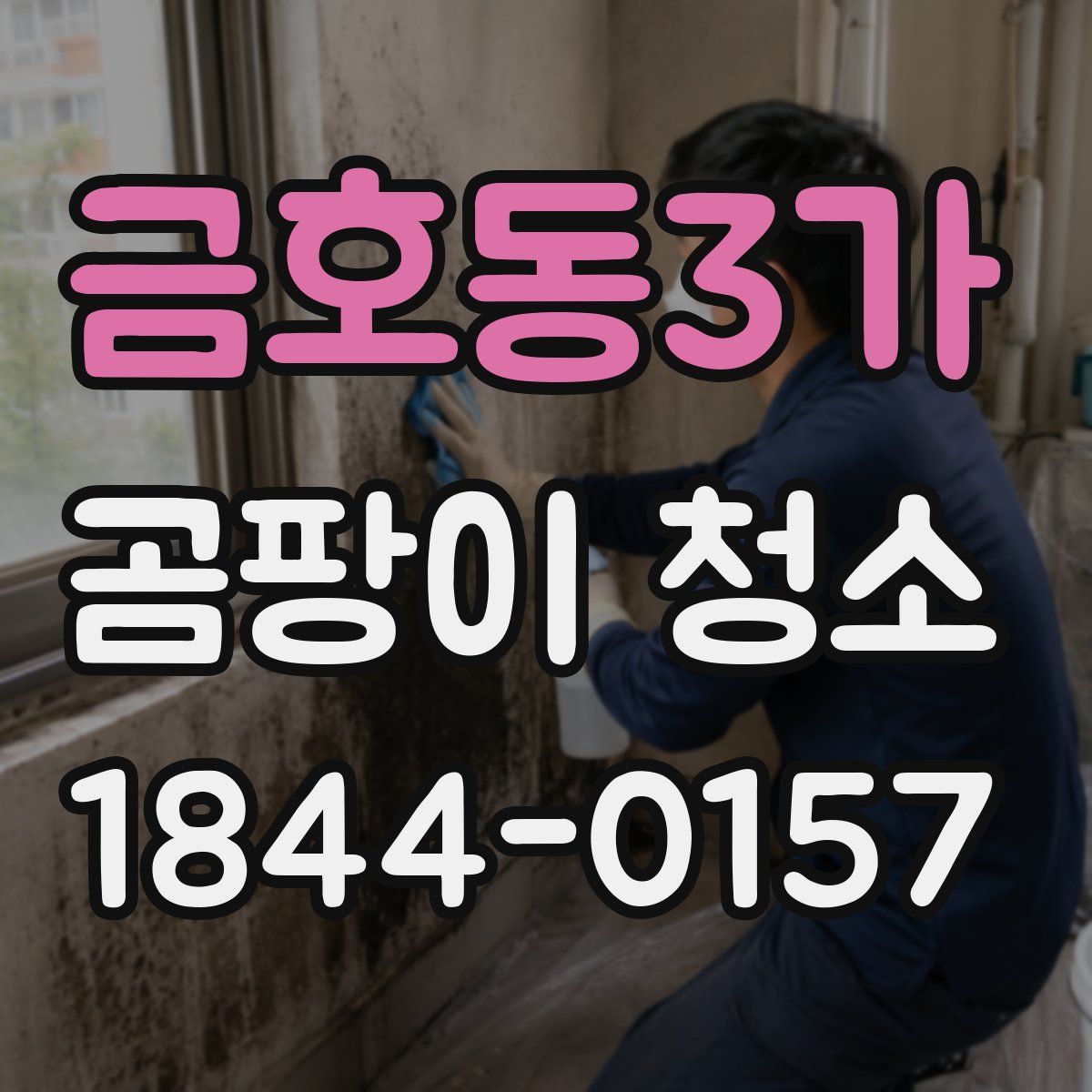 금호동3가 곰팡이 청소
