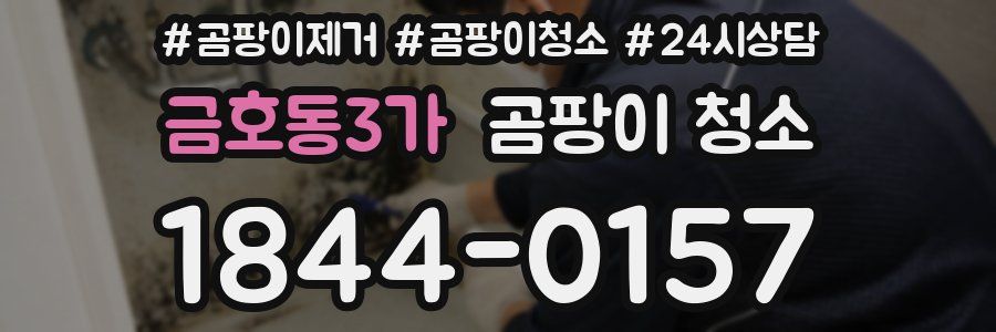 금호동3가 곰팡이 청소