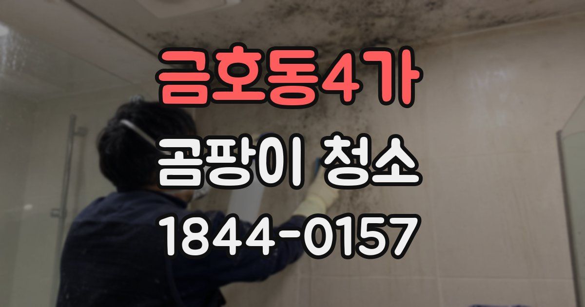 금호동4가 곰팡이 청소