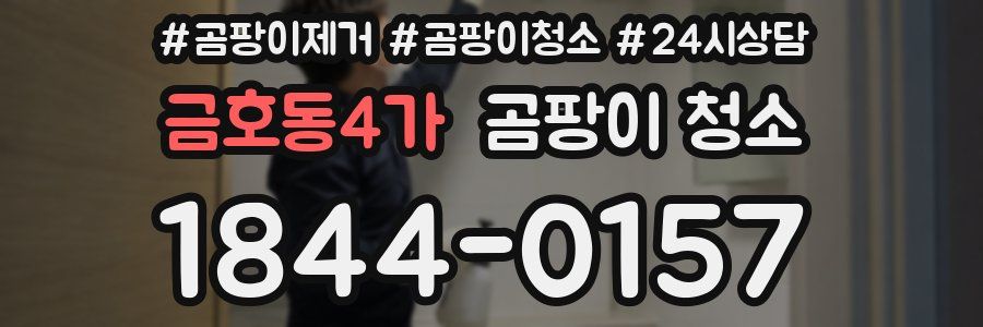 금호동4가 곰팡이 청소