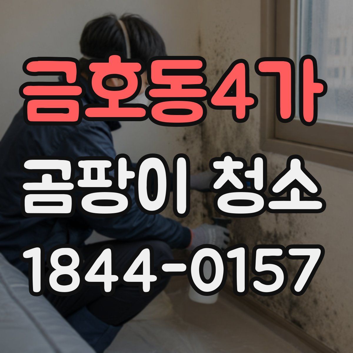 금호동4가 곰팡이 청소