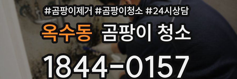 옥수동 곰팡이 청소