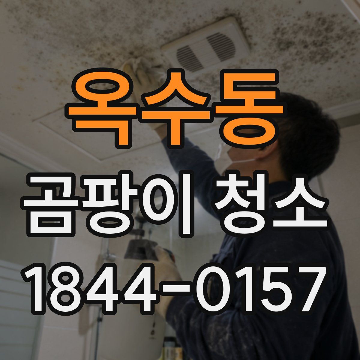 옥수동 곰팡이 청소
