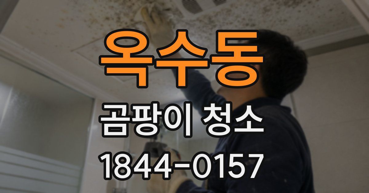 옥수동 곰팡이 청소