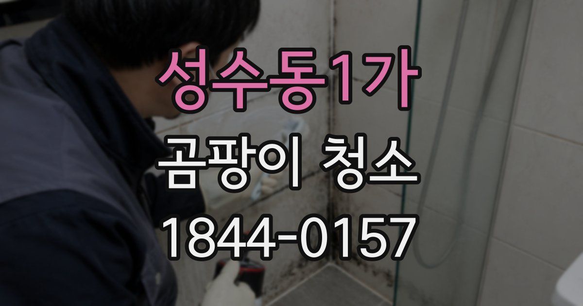 성수동1가 곰팡이 청소