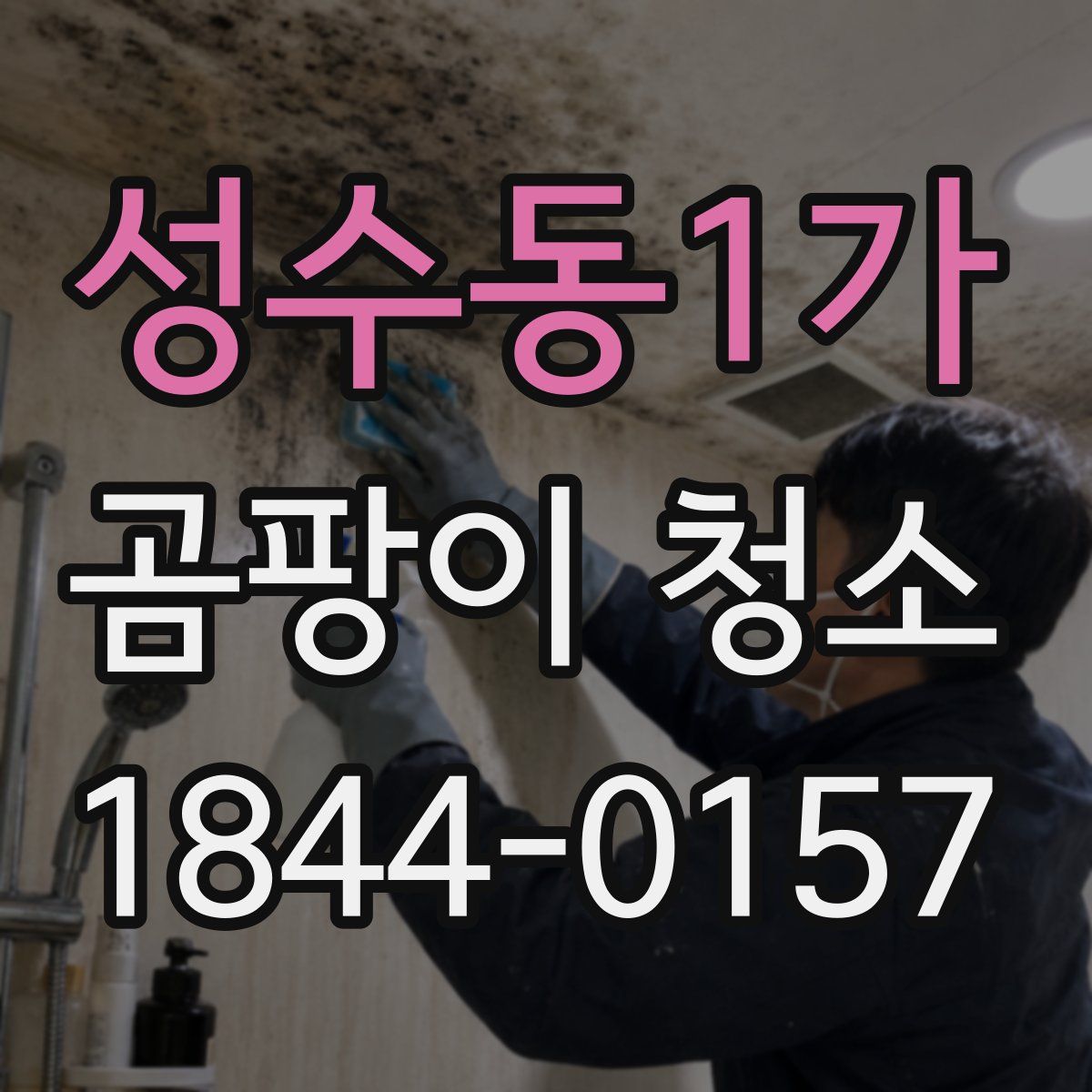 성수동1가 곰팡이 청소