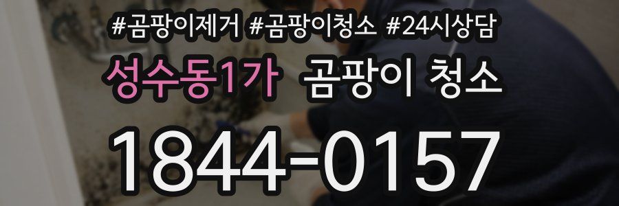성수동1가 곰팡이 청소