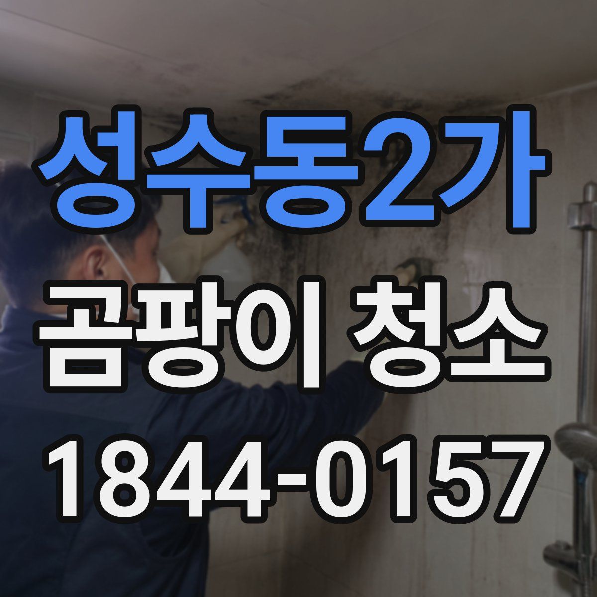 성수동2가 곰팡이 청소