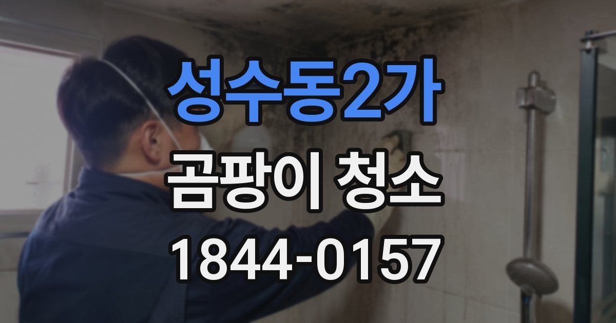 성수동2가 곰팡이 청소