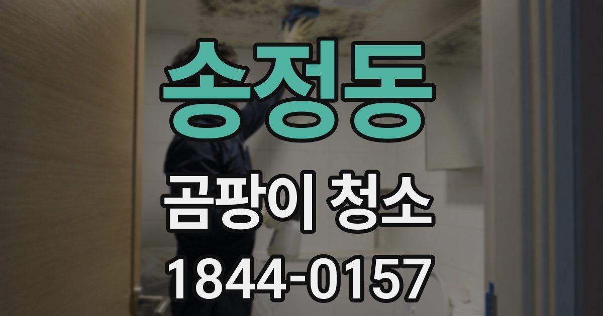 송정동 곰팡이 청소