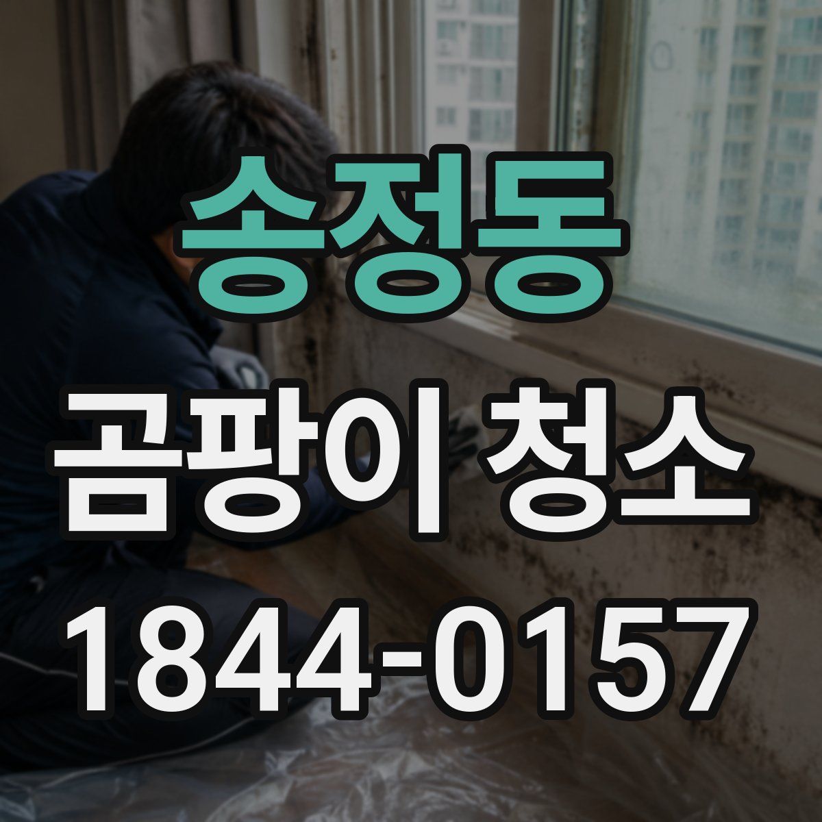 송정동 곰팡이 청소