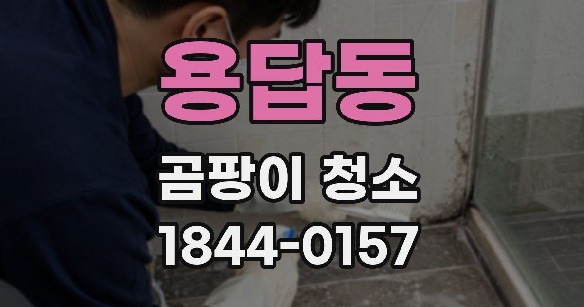 용답동 곰팡이 청소