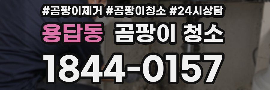 용답동 곰팡이 청소