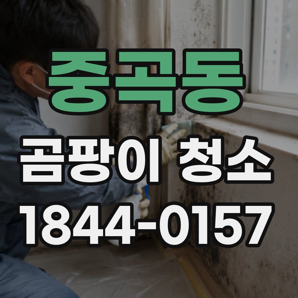 중곡동 곰팡이 청소