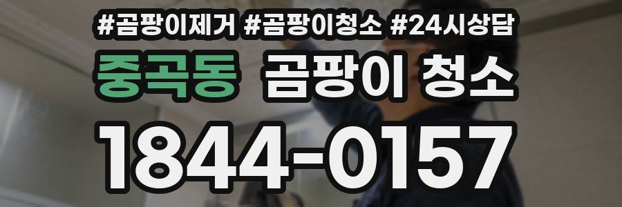 중곡동 곰팡이 청소