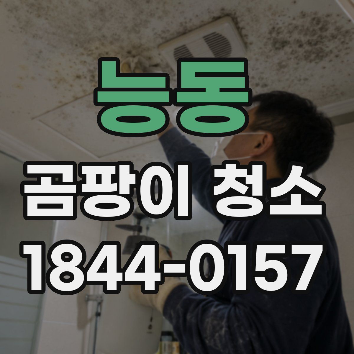 능동 곰팡이 청소