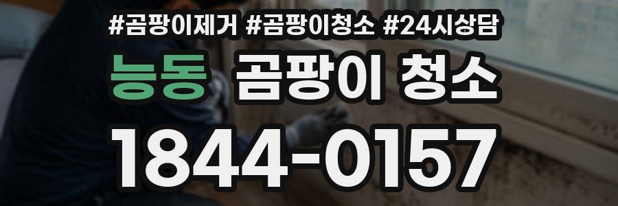 능동 곰팡이 청소
