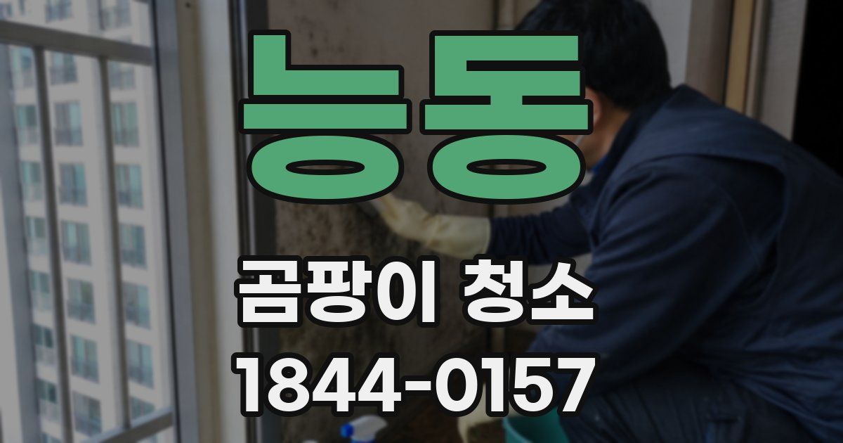 능동 곰팡이 청소