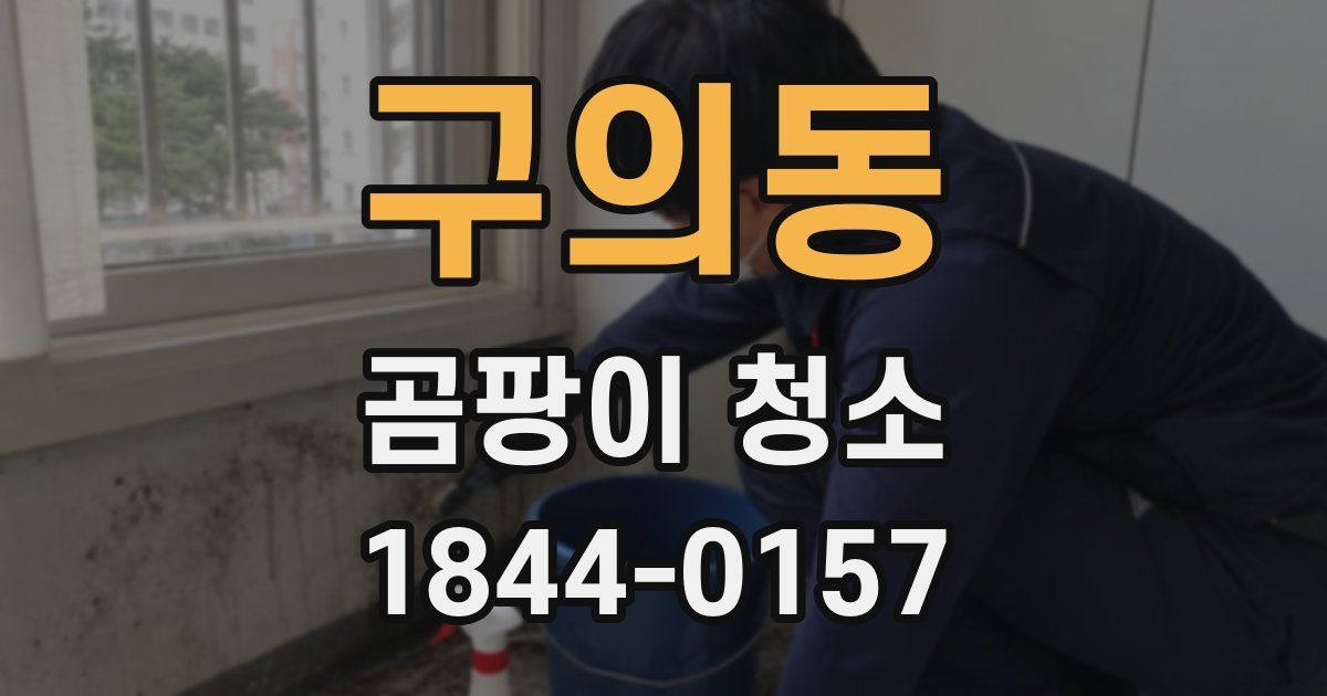 구의동 곰팡이 청소