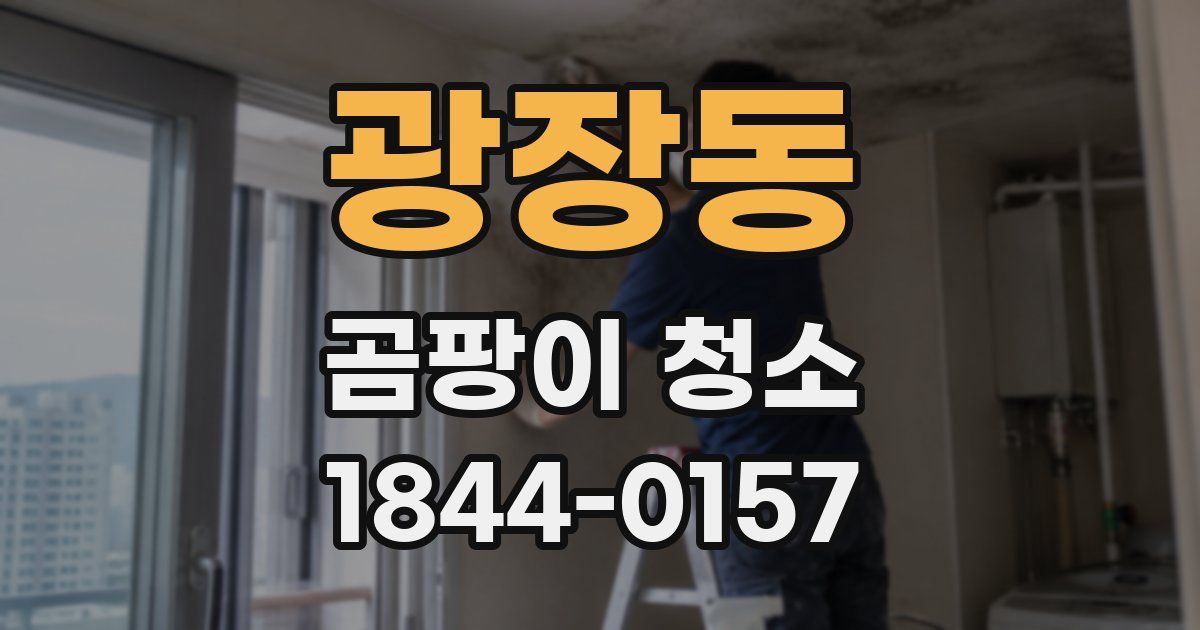 광장동 곰팡이 청소