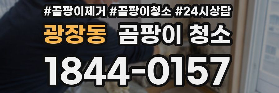 광장동 곰팡이 청소
