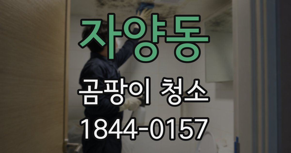자양동 곰팡이 청소