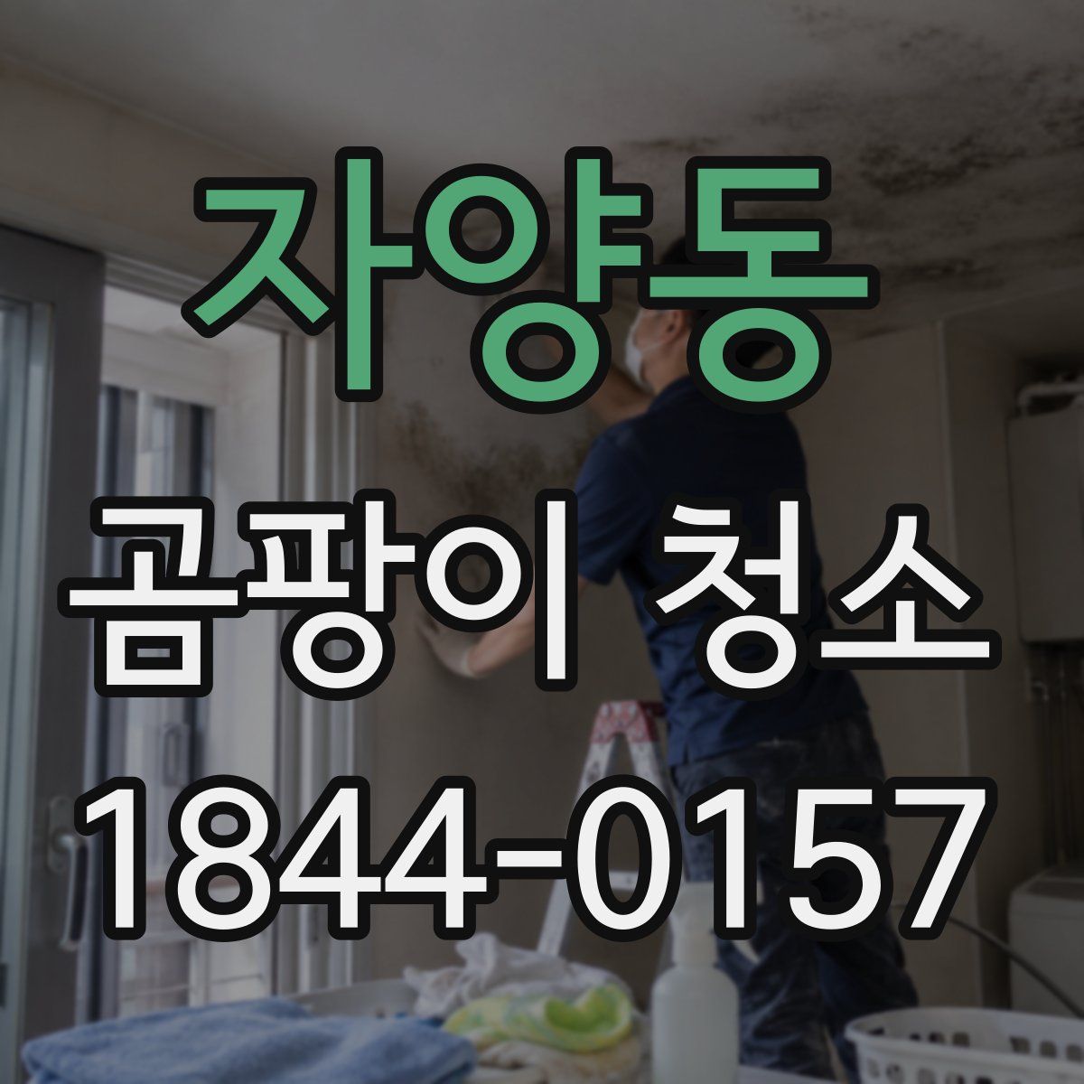 자양동 곰팡이 청소