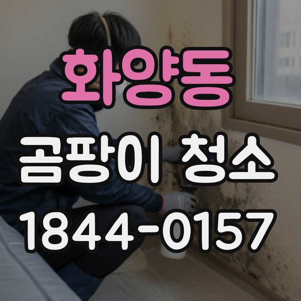 화양동 곰팡이 청소