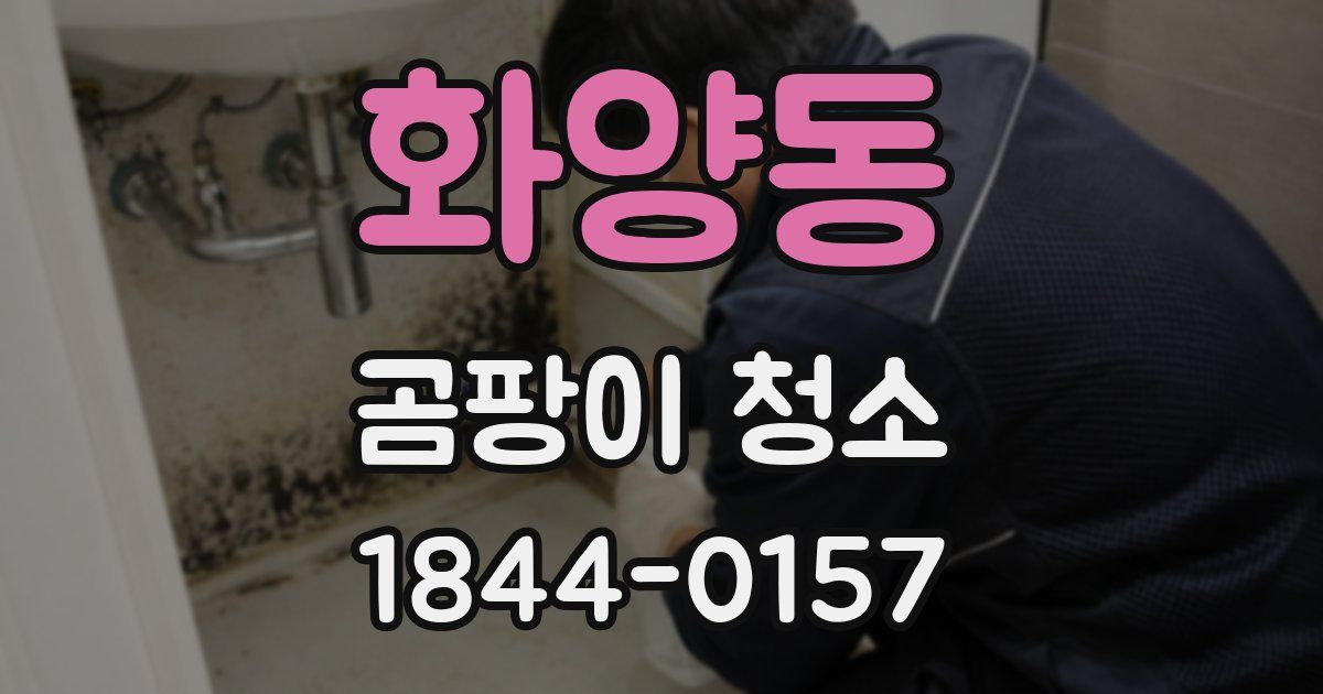 화양동 곰팡이 청소