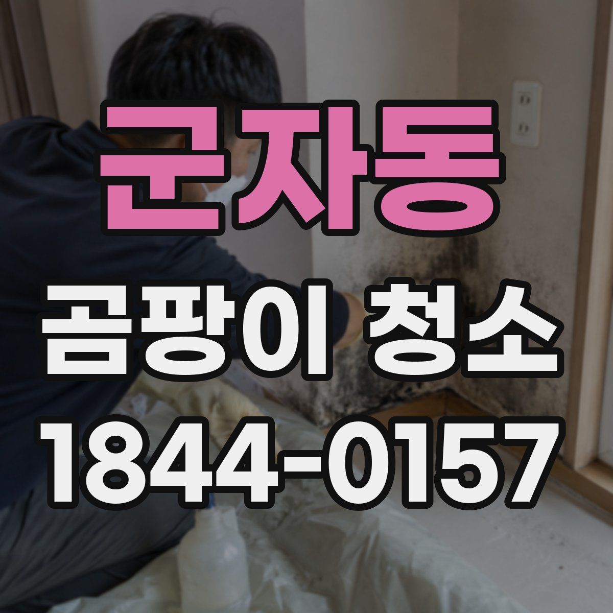 군자동 곰팡이 청소