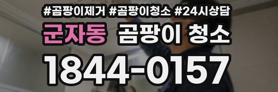 군자동 곰팡이 청소
