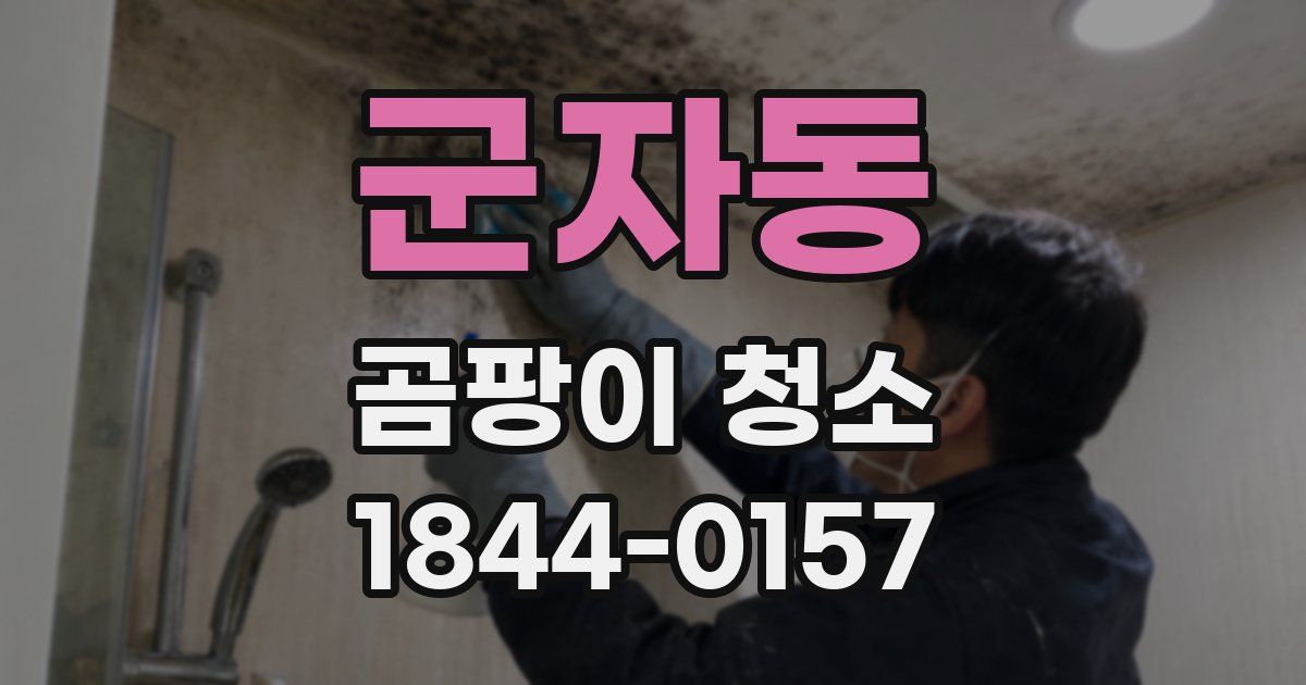 군자동 곰팡이 청소