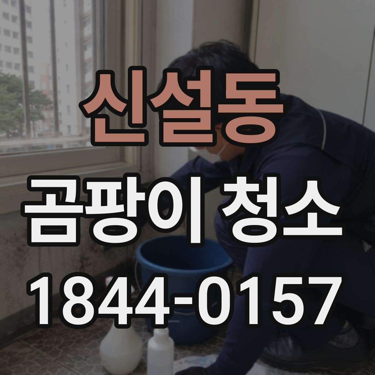 신설동 곰팡이 청소 세척제 사용 전 표면 상태를 확인하는 기준