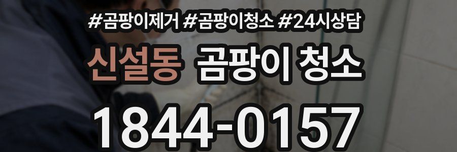 신설동 곰팡이 청소