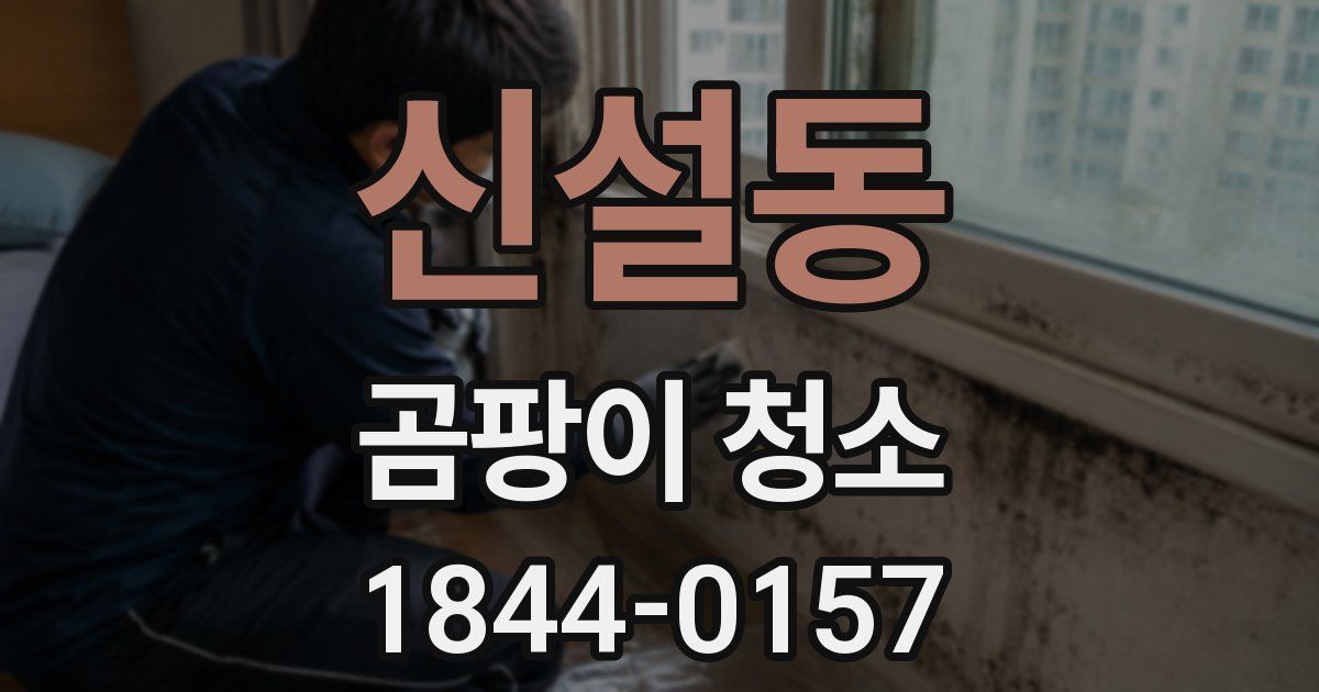 신설동 곰팡이 청소